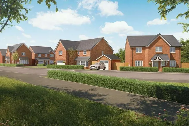 Wain Homes - The Paddocks
