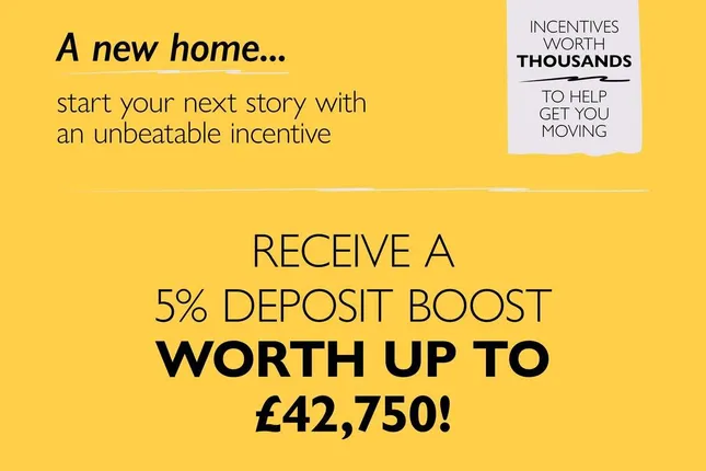 Countryside - Clapham Park