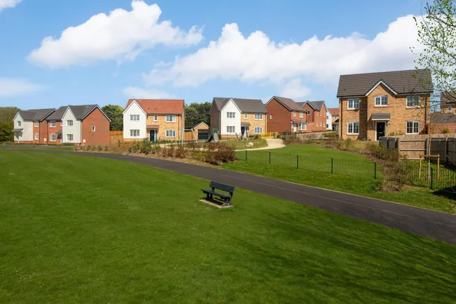 Bellway - Pinewood Grange