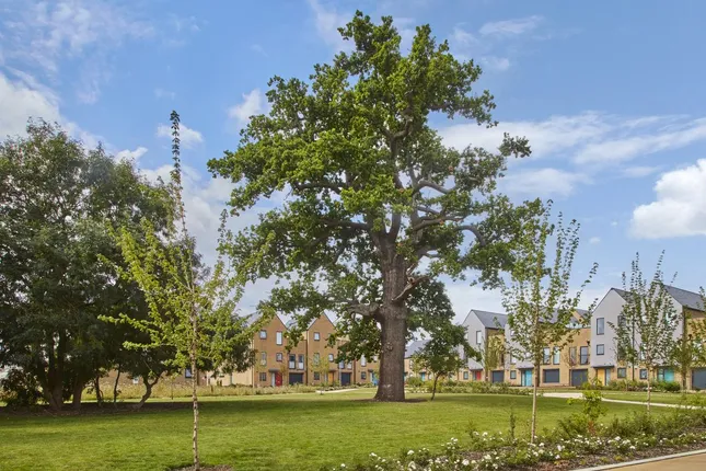 Countryside Homes - Base at Newhall