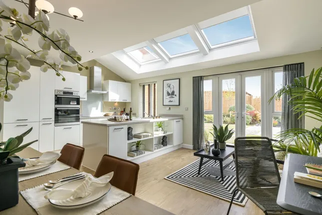 Countryside - Hall Park