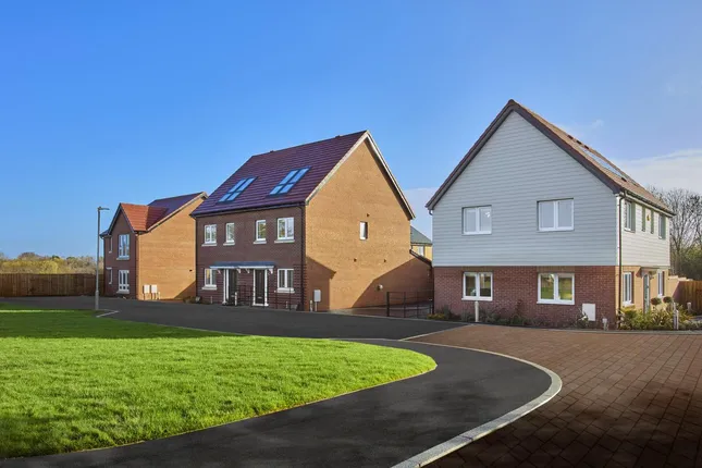 Countryside - Countryside at Tattenhoe Park