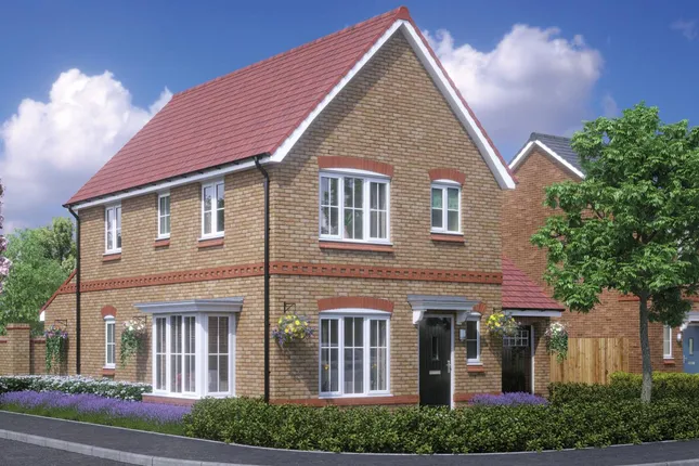 Countryside - Beaumont Green