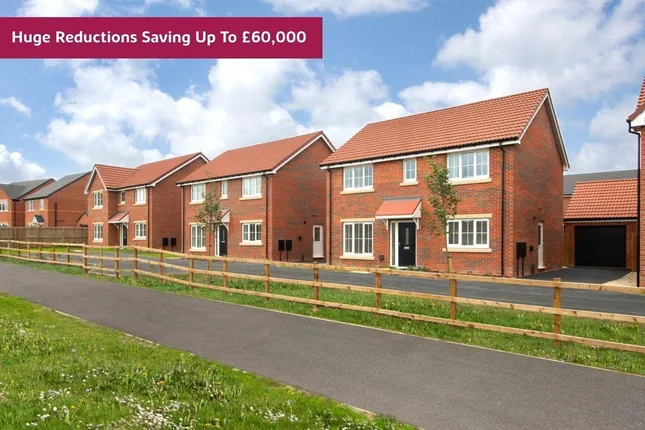 Countryside - Newsam Rise