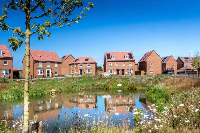 David Wilson Homes - Mulberry Rise at Applegate Park