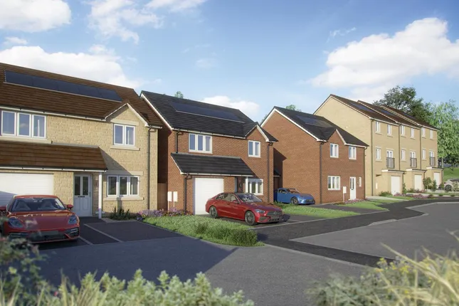 Linden Homes - Blue Birch Fields