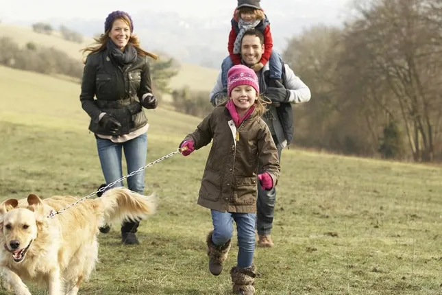 Tilia Homes - Kiln Grove