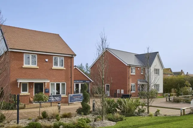 Bellway - Primrose Grove