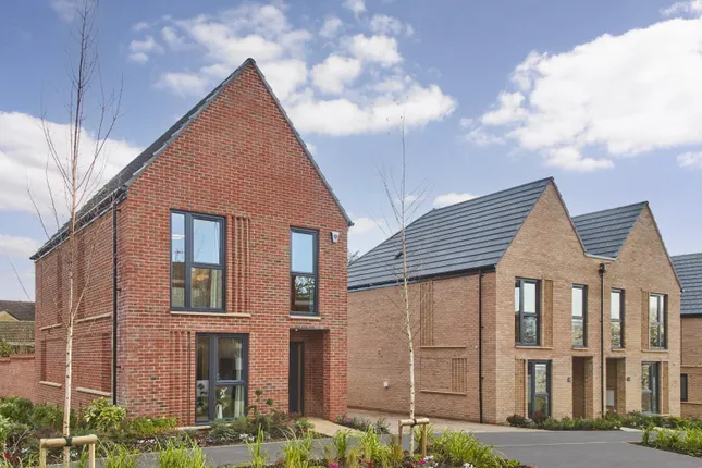 Bellway - Montem Square