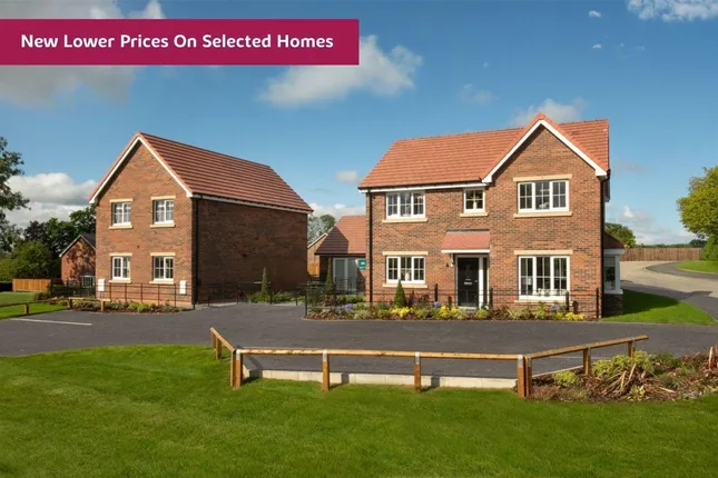 Countryside - Kensington Fields