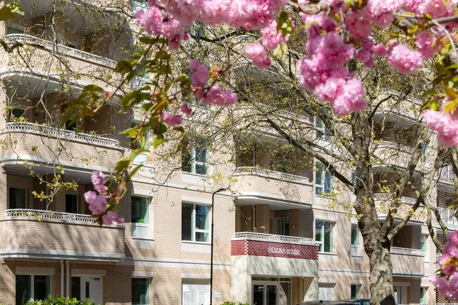 Countryside - Verdica