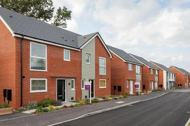 Ashberry Homes - Lucas Gardens