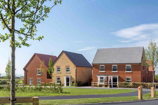 David Wilson Homes - Roman Walk