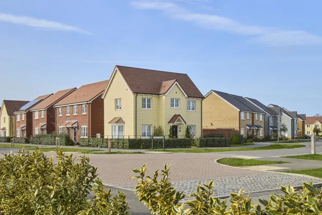 Bellway - Ivy Hill