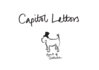 Capitol Lettors Sales and Letting Agents