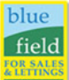 Bluefield Solutions
