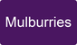 Mulburries logo