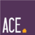 ACE Property Management Solutions logo