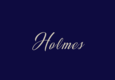 Holmes Sales and Lettings