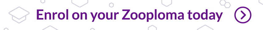 Enrol on your Zoopla today