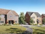 Tilia Homes - Knights Meadow image
