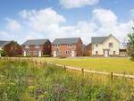 Barratt Homes - Pinewood Park image