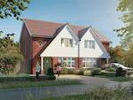 Redrow - Temple Woods image