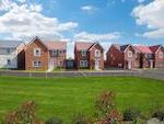 Barratt Homes - Harrier Chase image