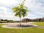 Barratt Homes - Bertone Gardens image