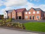 Tilia Homes - Tanton Fields image