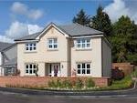 Miller Homes - Strathmartine Park image