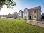 Bellway - Willow Park image