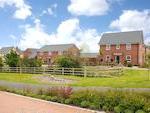 Barratt Homes - Bowland Meadow image