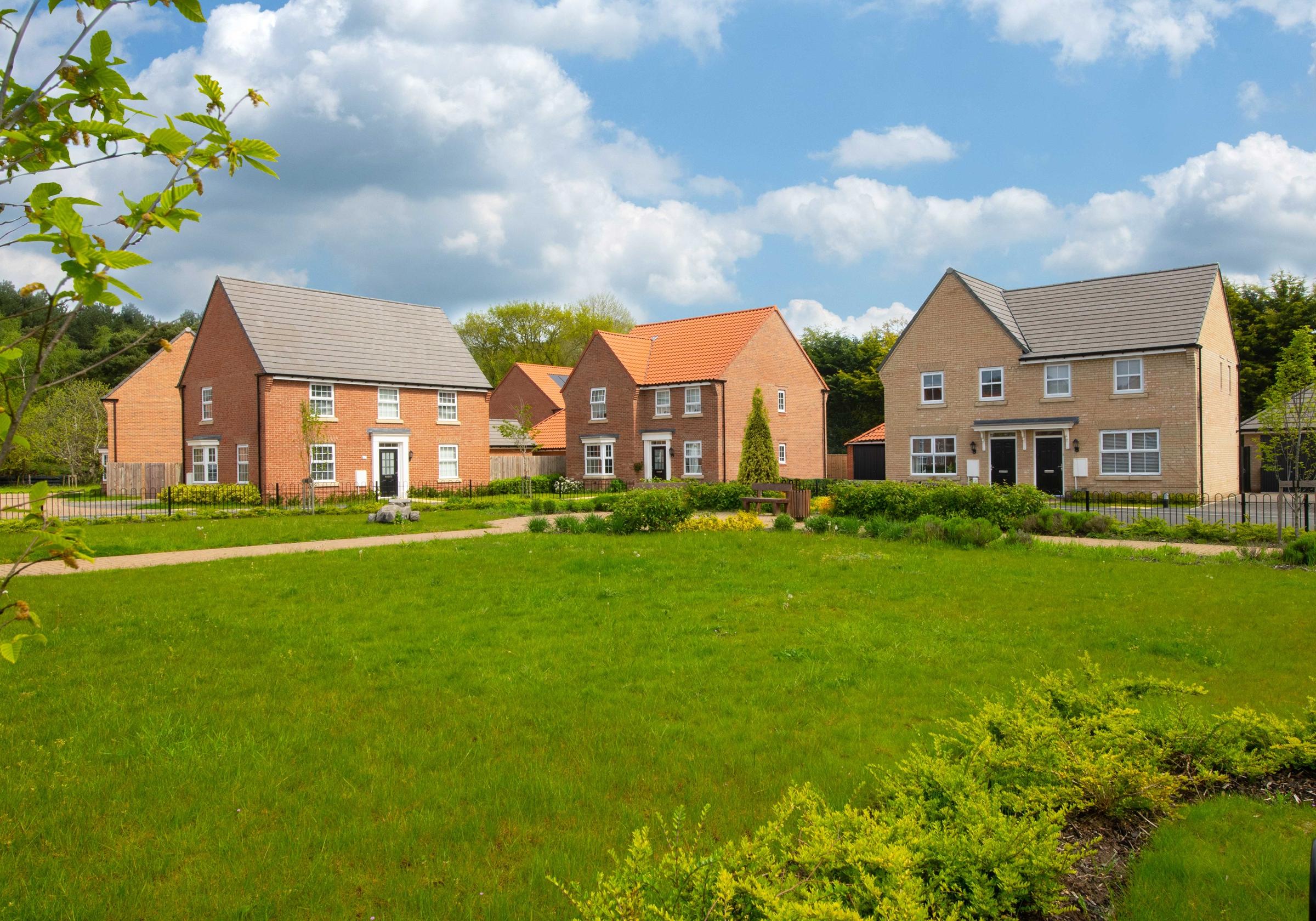 Kingfisher Meadow development 3 of 3