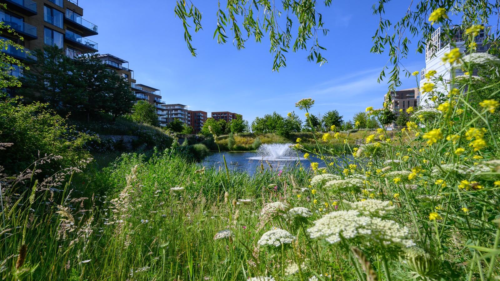 Kidbrooke Village development 2 of 9