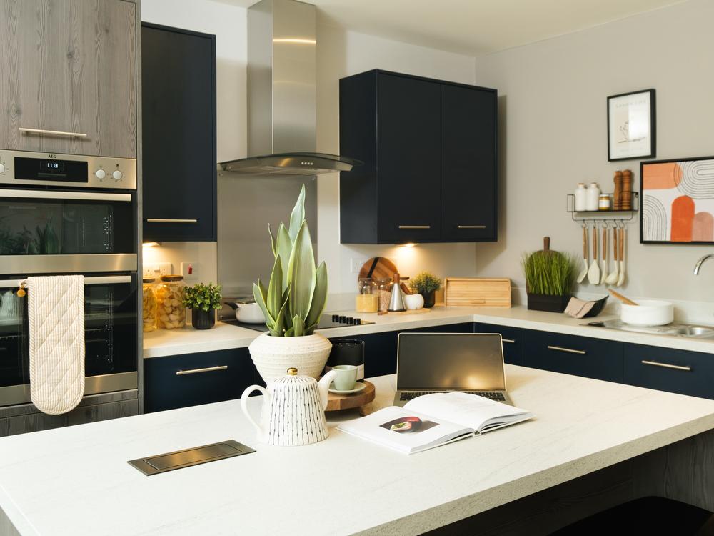 Badbury Park development 3 of 8