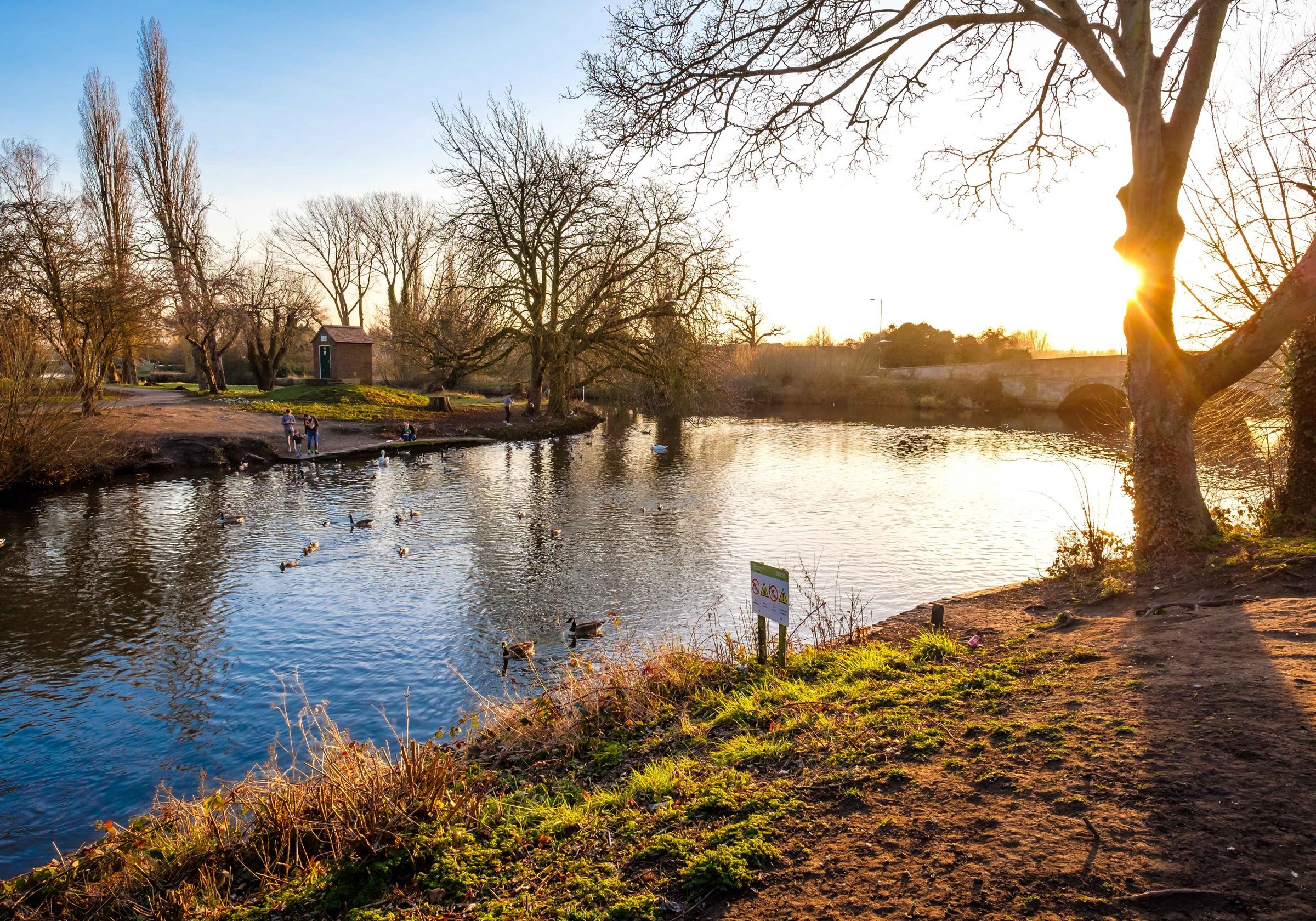 Dunstall Park development 3 of 5