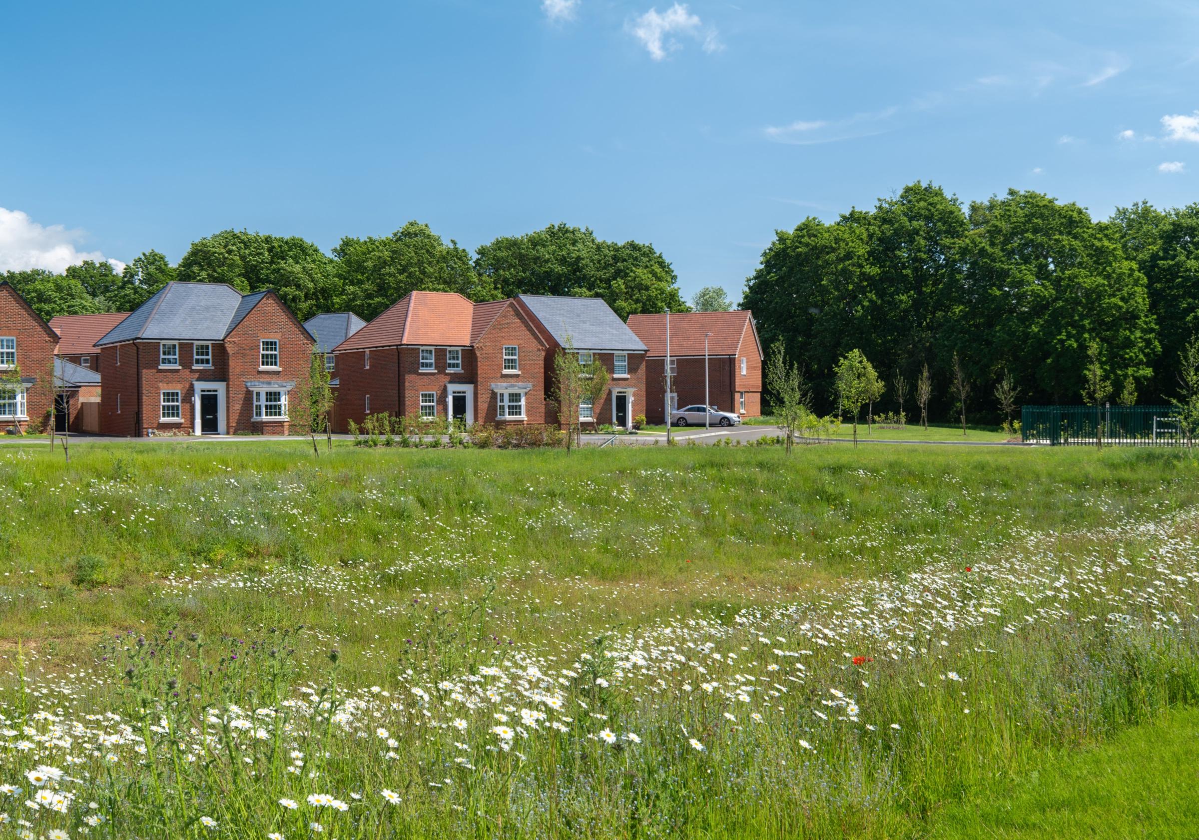 Ersham Park development 1 of 3