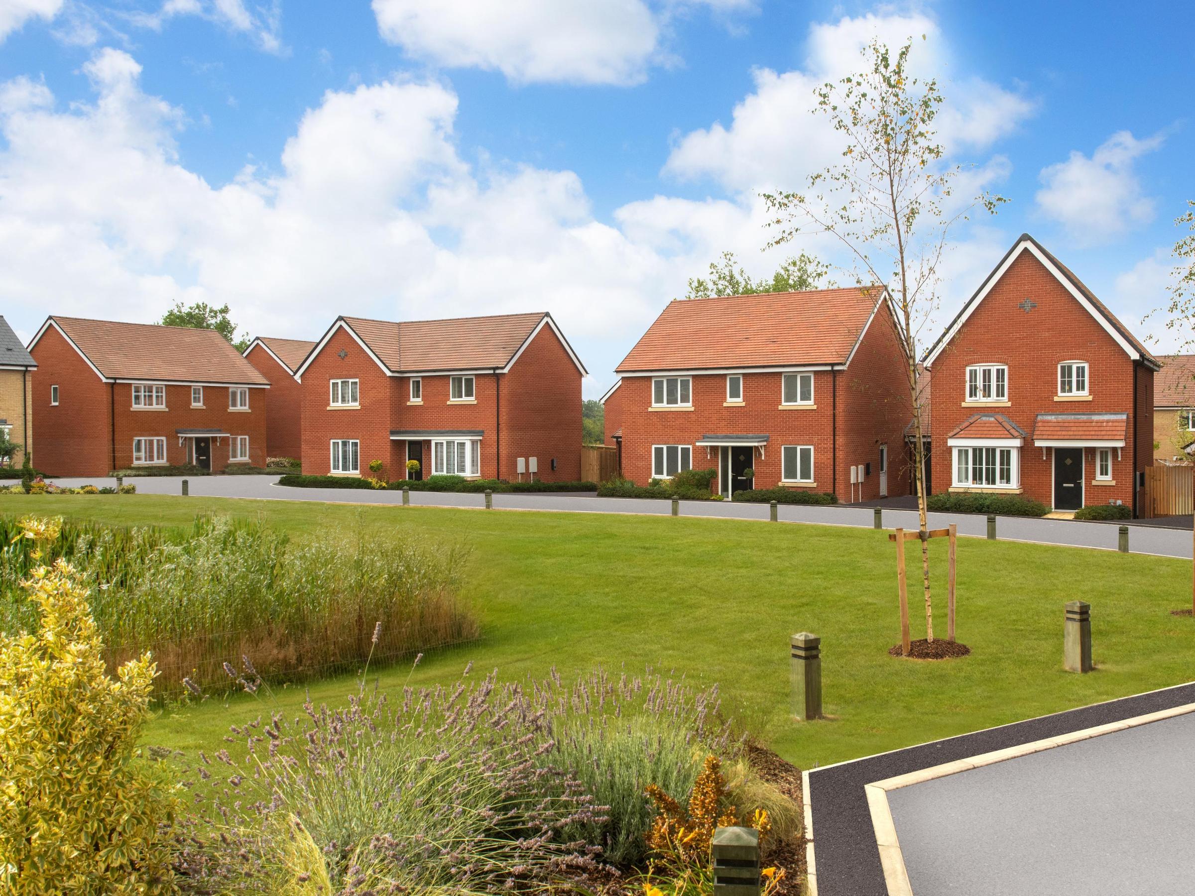 Hatfield Grove development 1 of 1