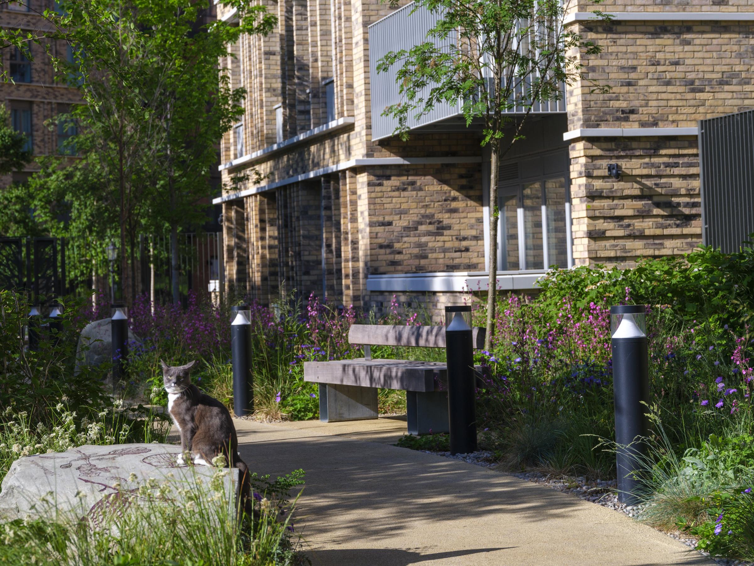 Alexandra Gate development 2 of 14