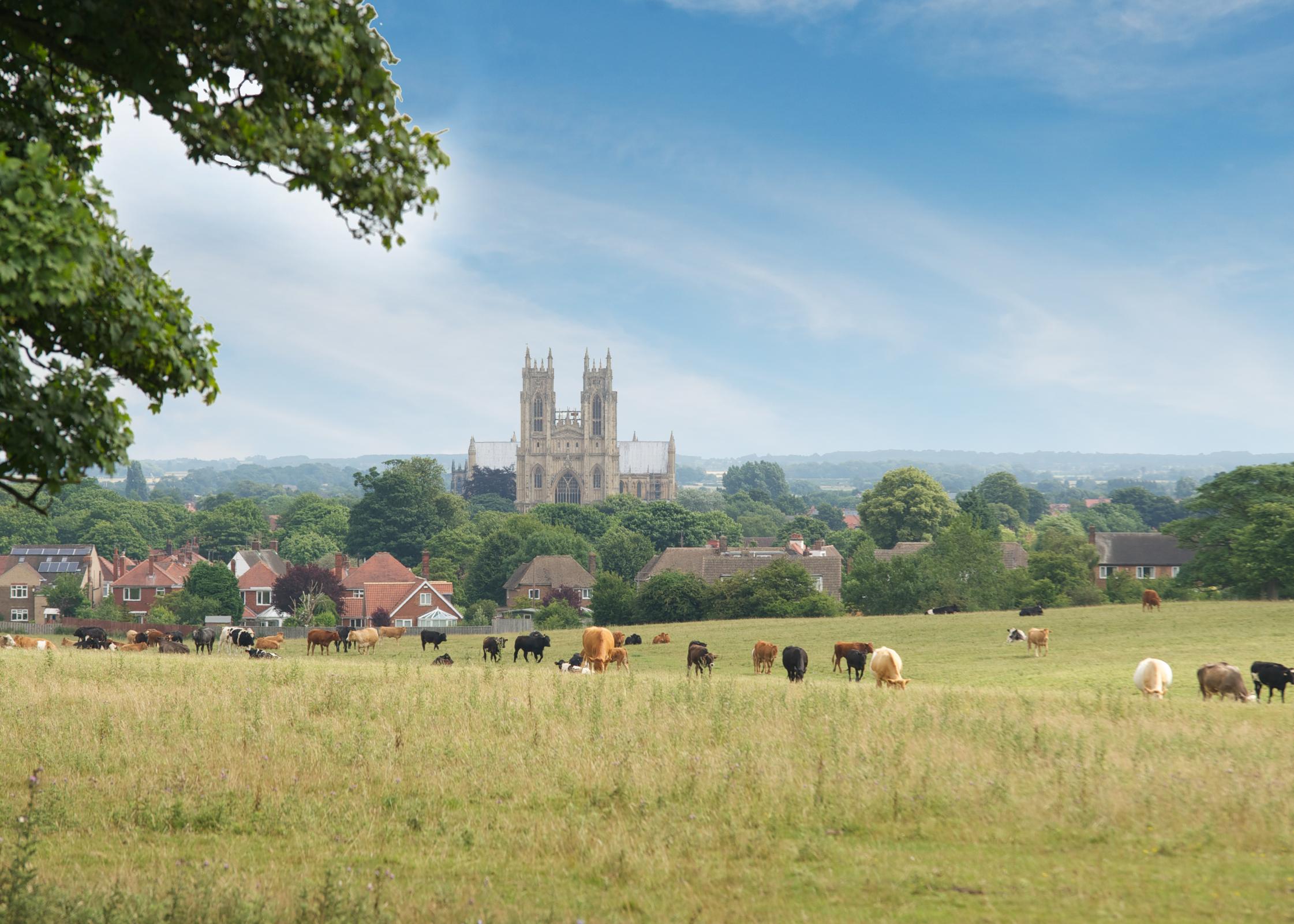 Minster View development 3 of 5