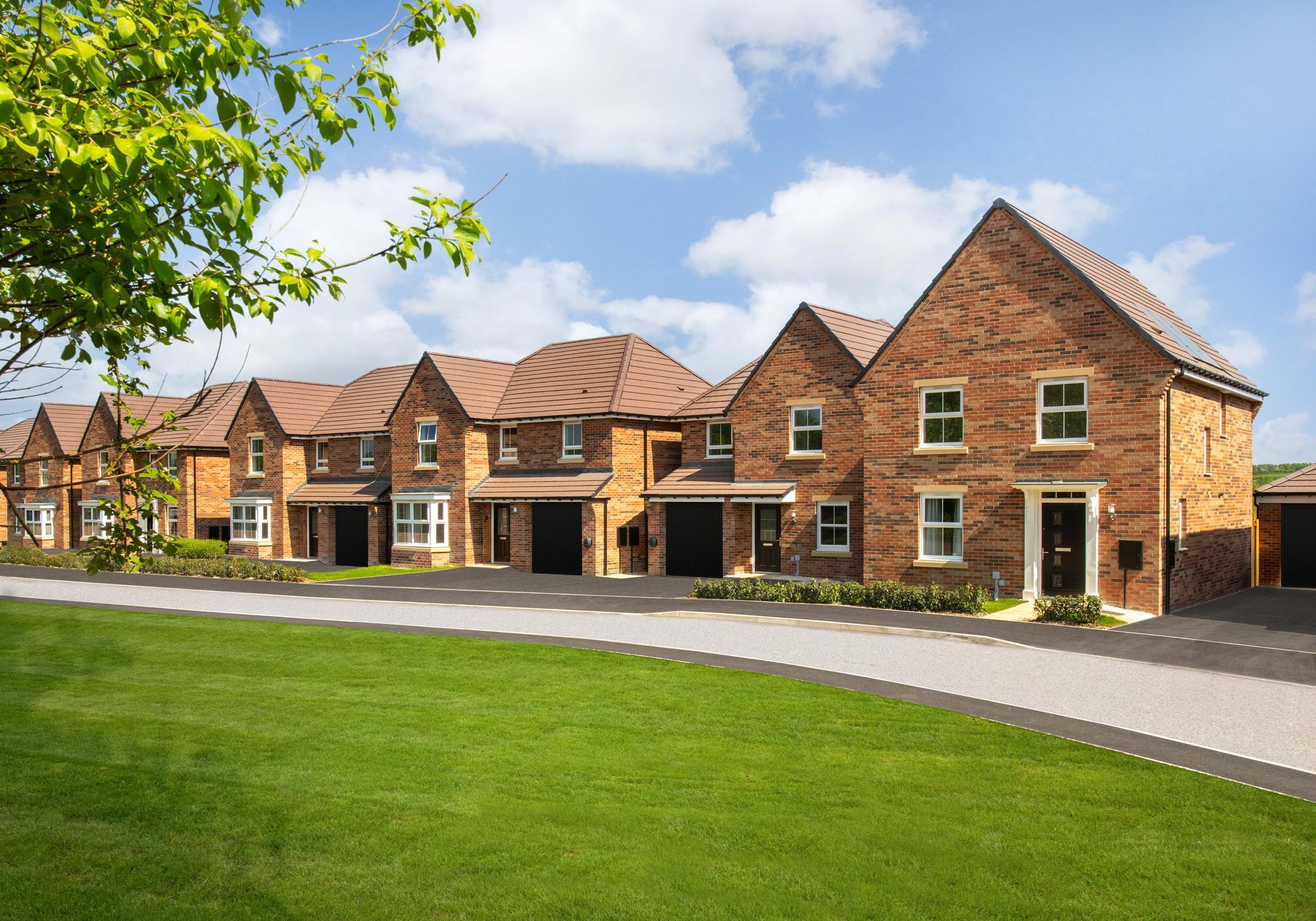 Bluebell Meadows development 1 of 9