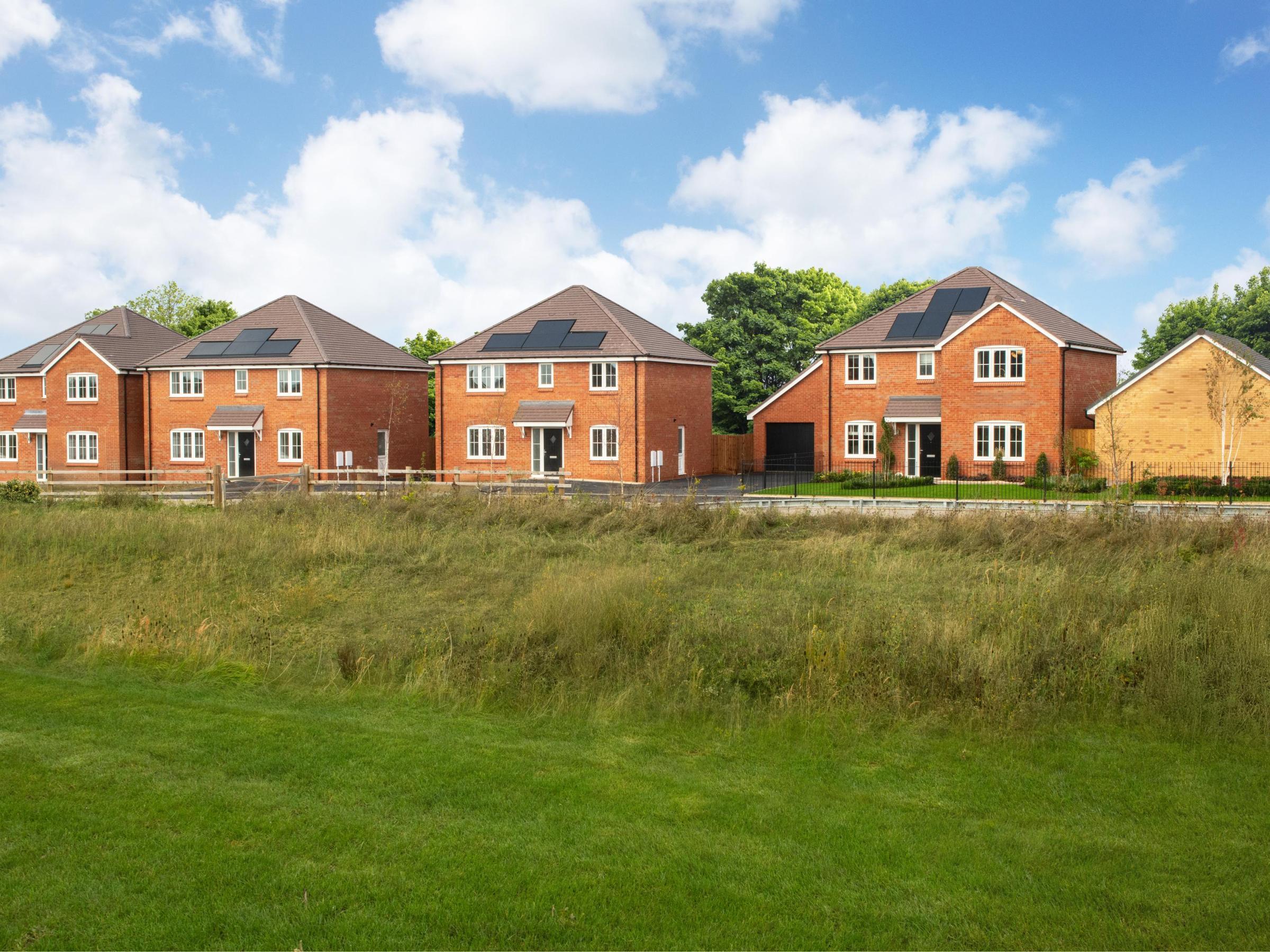 Brook Meadows development 1 of 1