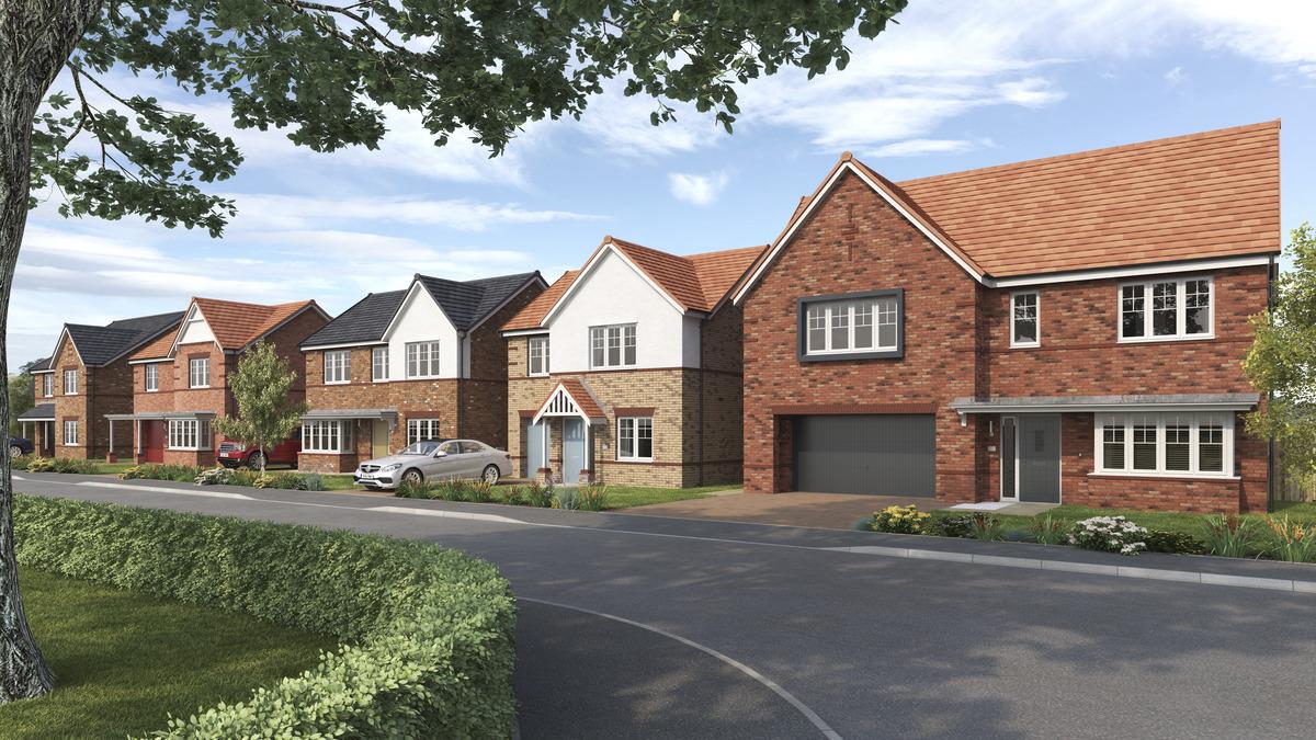 Cygnet Park development 1 of 1