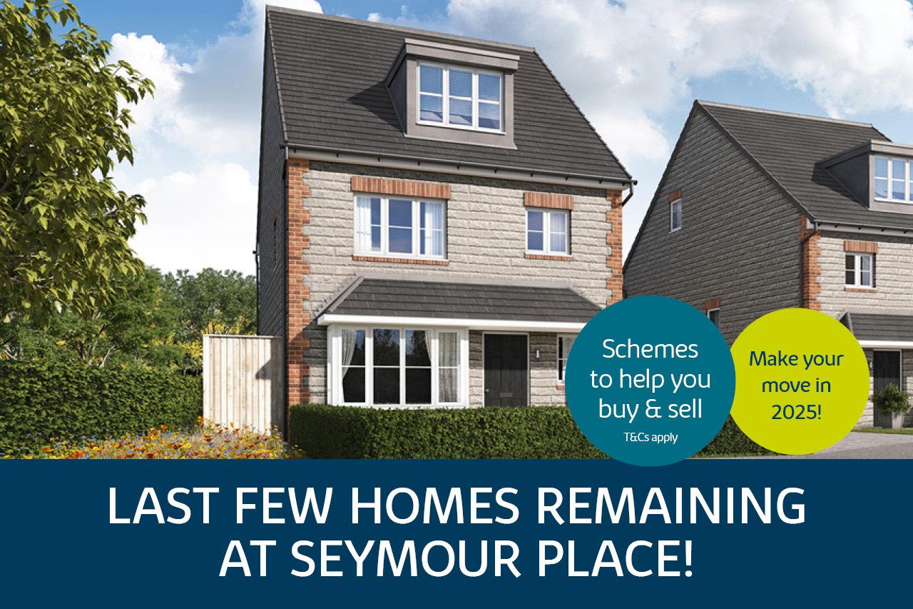Seymour Place development 1 of 1