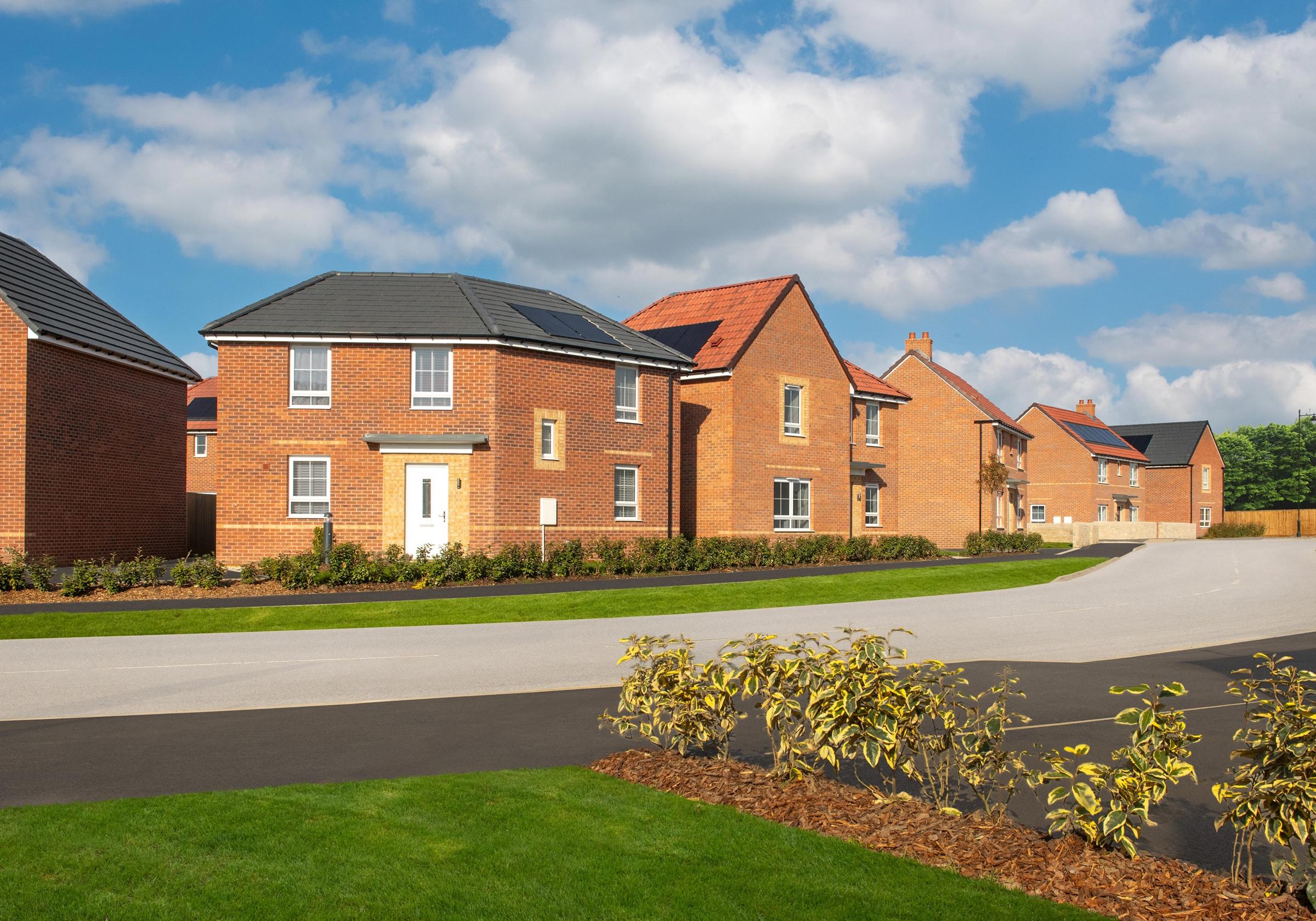 The Meadows development 3 of 8