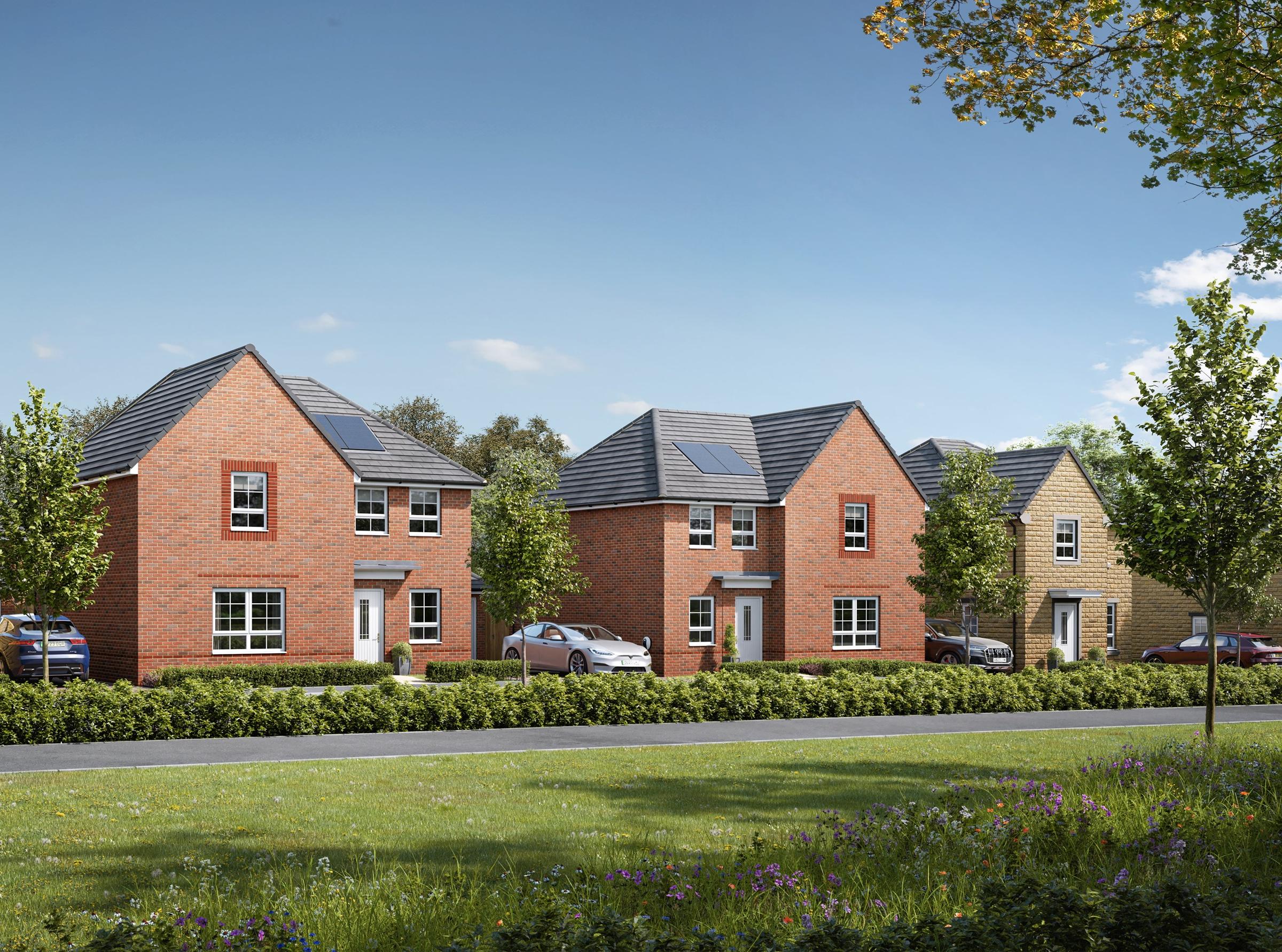 The Skylarks development 1 of 7