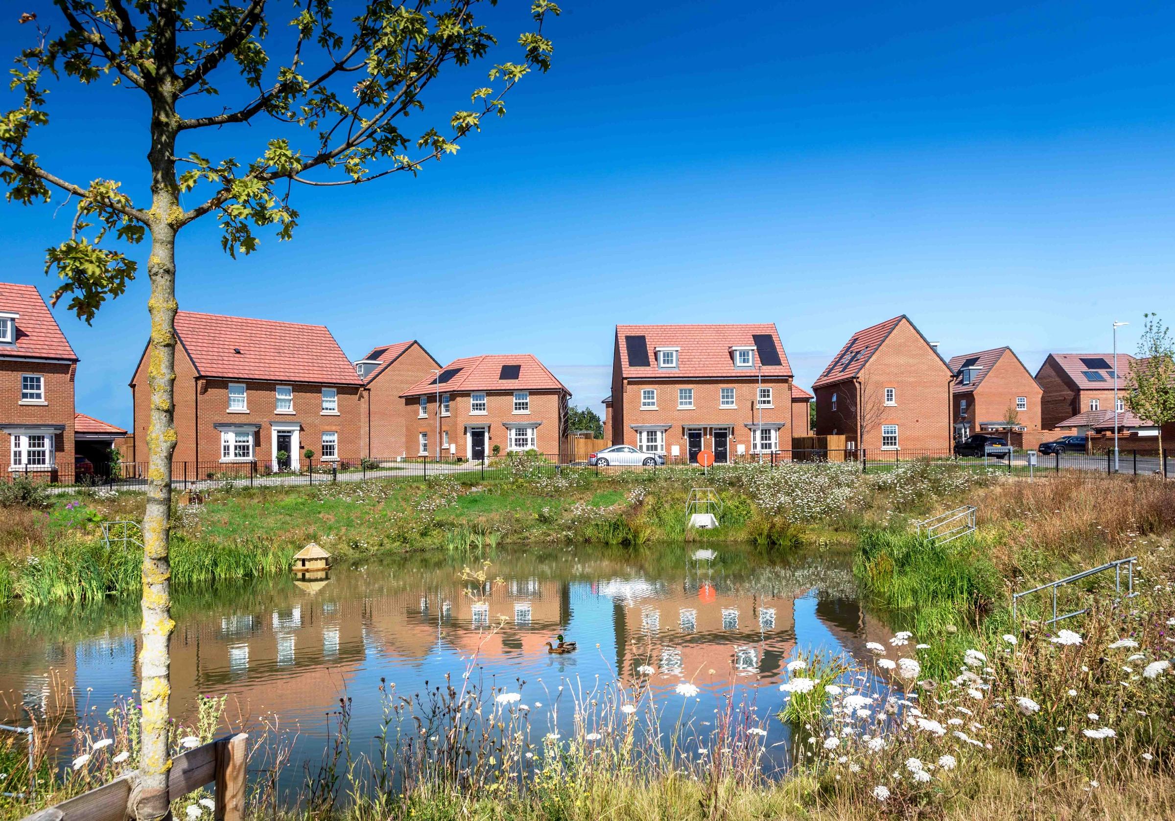 Mulberry Rise at Applegate Park development 1 of 10