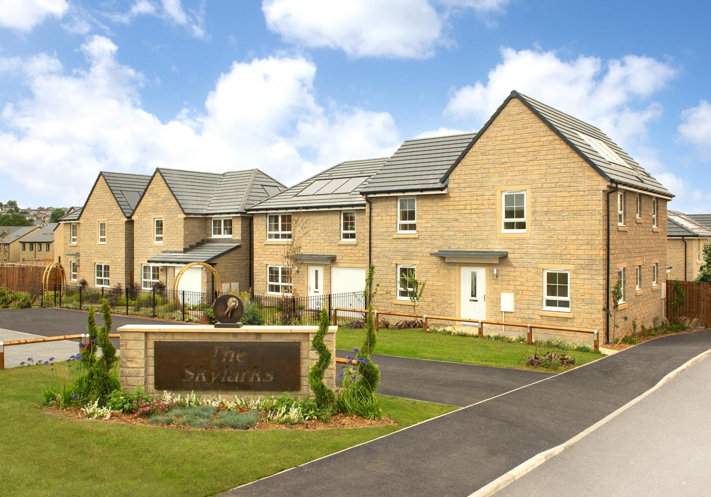 The Skylarks development 1 of 6