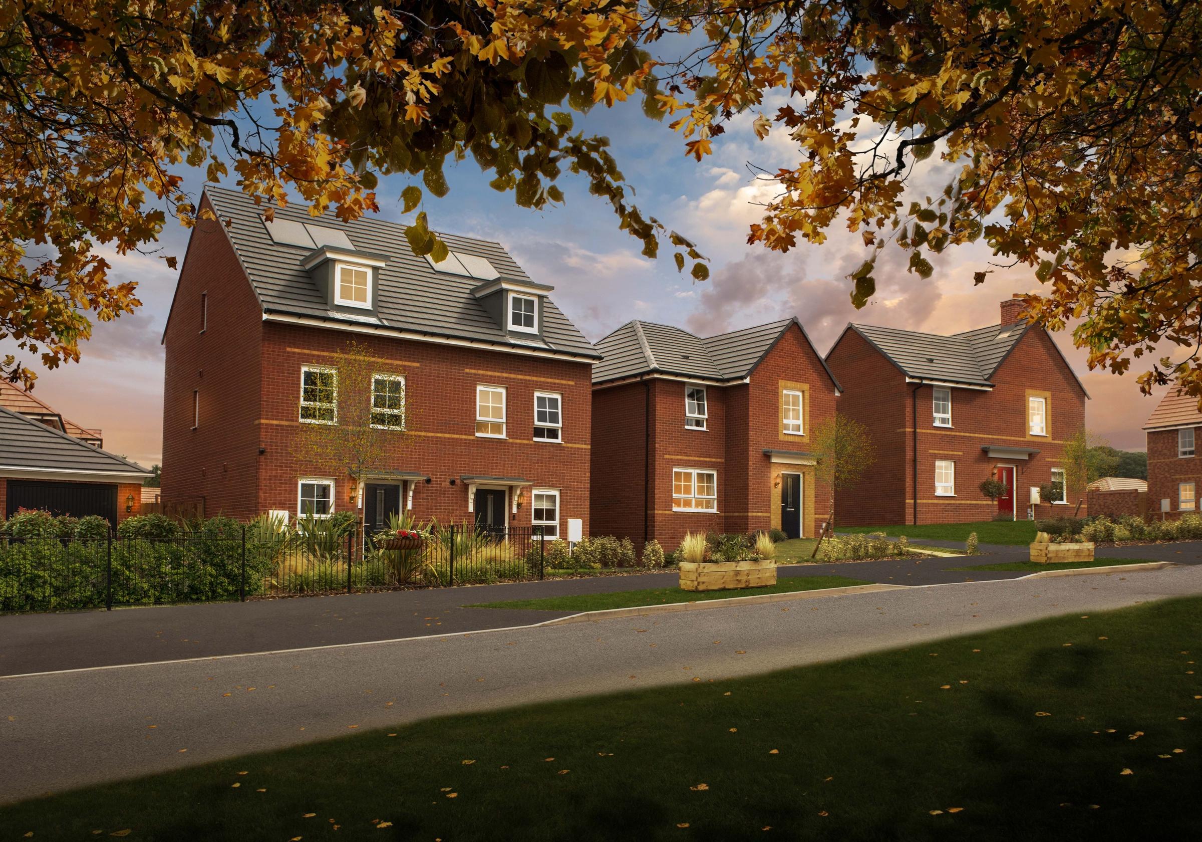 Silkin Meadows development 1 of 6